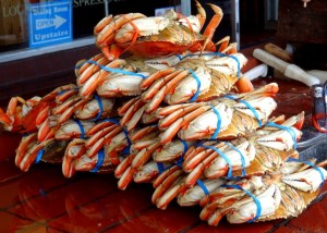 crab_san francisco